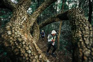 BIB: 
                            <button type="button" onclick="openModal(25393272)" class="btn btn-primary btn-sm float-right btn-popup" data-toggle="modal" data-target=".modal-high-quality">
                        <i class="fas fa-shopping-cart"></i> Add to Cart
                    </button>
                                            <button type="button" onclick="isThisMe(25393272, true)" class="btn btn-success btn-sm float-right btn-popup btn-isme hidden" data-toggle="tooltip" data-placement="bottom" title="นี่คือรูปของคุณใช่ไหม คลิกที่นี่เพื่อเอาเข้าอัลบั้ม">
                        <i class="fas fa-plus"></i> Add to album
                    </button>
                    <button type="button" onclick="isThisMe(25393272, false)" class="btn btn-warning btn-sm float-right btn-popup btn-isnotme hidden">
                        <i class="fas fa-ban"></i> Remove from album
                    </button>